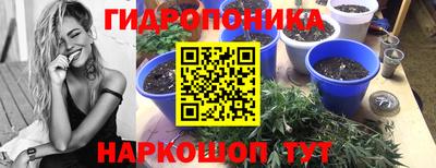 амф Рузаевка