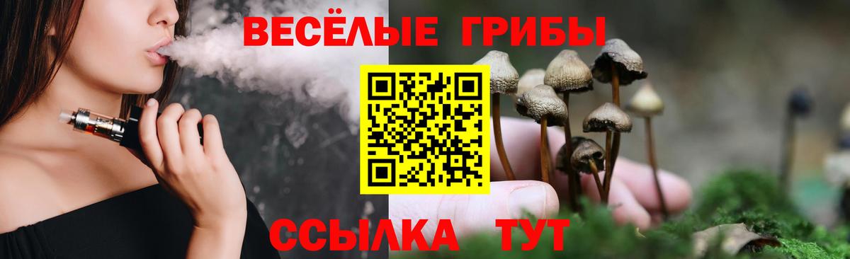 Codein Светлоград